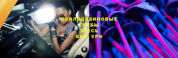 бошки Нягань