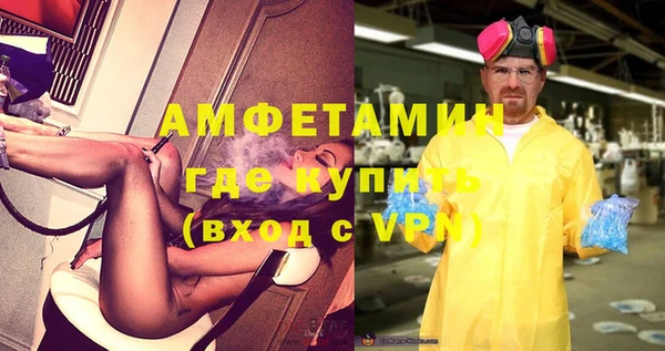 шишки Новозыбков