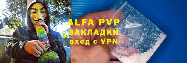 шишки Новозыбков