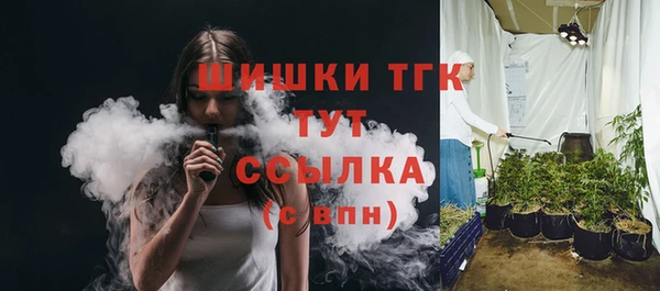 шишки Новозыбков