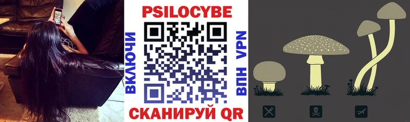 Псилоцибиновые грибы Psilocybe  KRAKEN онион  Зерноград 